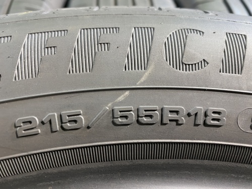 215 55 18 GOODYEAR EFFICIENTGRIP PERFORMANCE