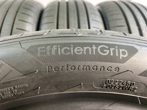 215 50 19 GOODYEAR EFFICIENTGRIP PERFORMANCE