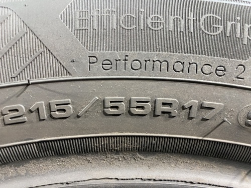 215 55 17 GOODYEAR EFFICIENTGRIP PERFORMANCE 2