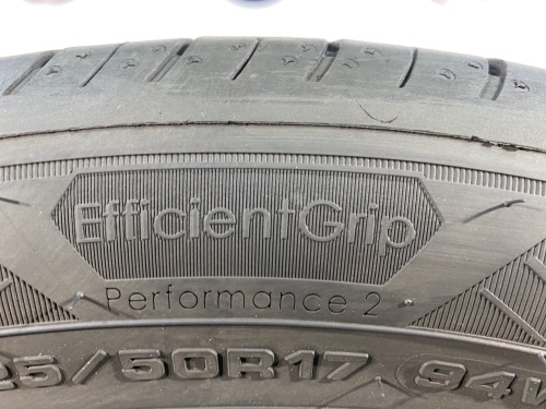 225 50 17 GOODYEAR EFFICIENTGRIP PERFORMANCE 2