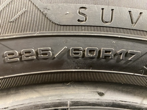 225 60 17 GOODYEAR EFFICIENTGRIP 2 SUV