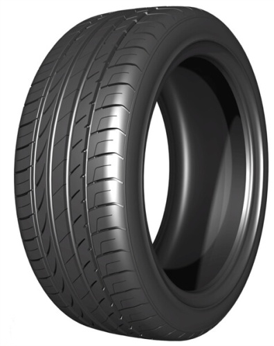 Double Star DU01 205/55 R16 91V