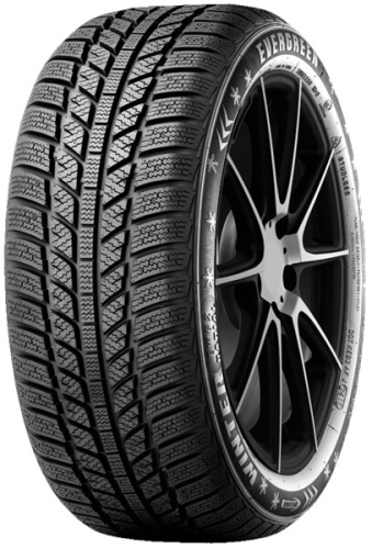 Evergreen EW62 195/50 R15 86H