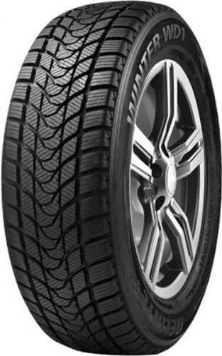 Delinte Winter WD1 195/55 R15 85H