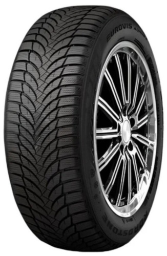 Roadstone Eurovis Alpine 2 225/70R16 103H