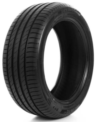 Delinte DS-2 SUV 265/70R16 112H